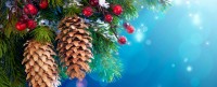 Extra markt op Tweede Kerstdag